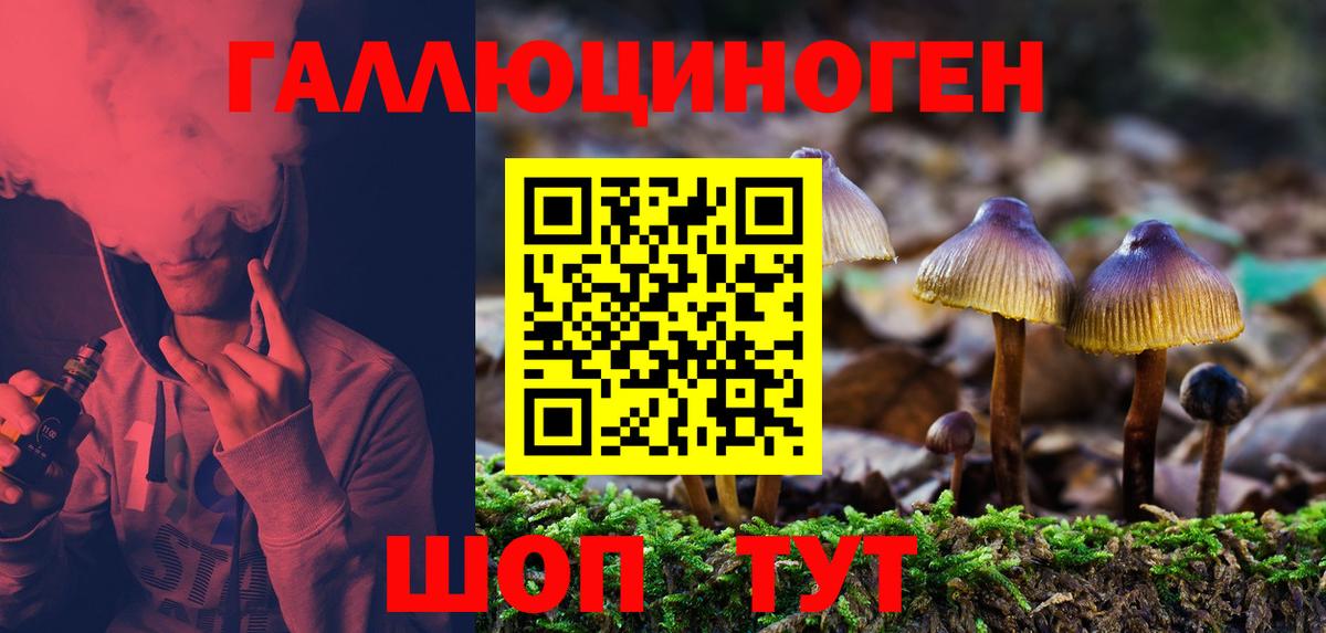 Коммунар  Псилоцибиновые грибы Psilocybine cubensis  Вход с VPN  Псилоцибиновые грибы Psilocybine cubensis 